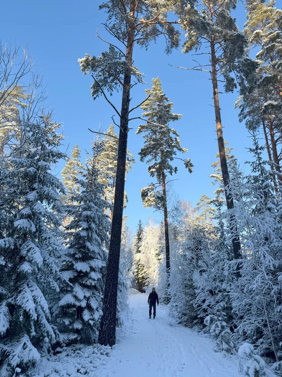 Into the Wild Within: Sweden